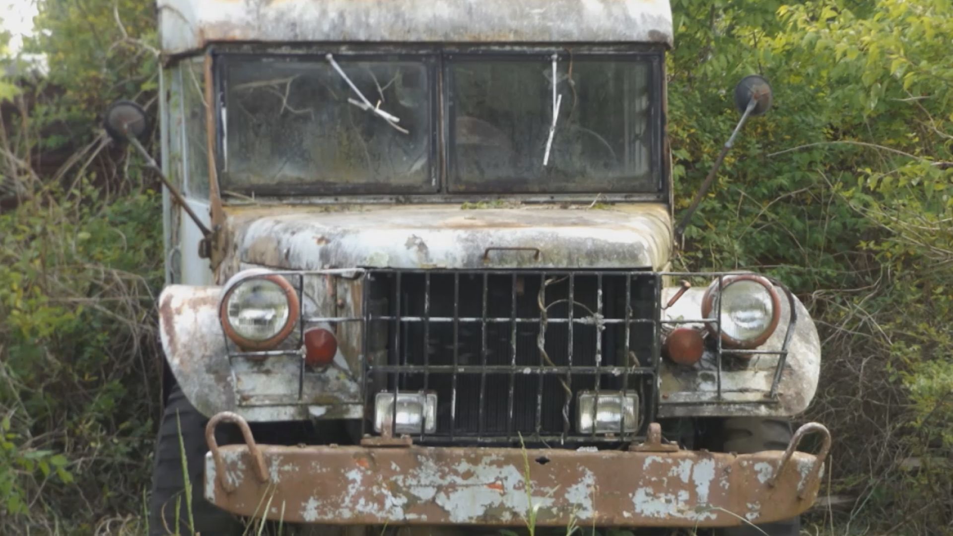 AMBULANCE VINES GONE